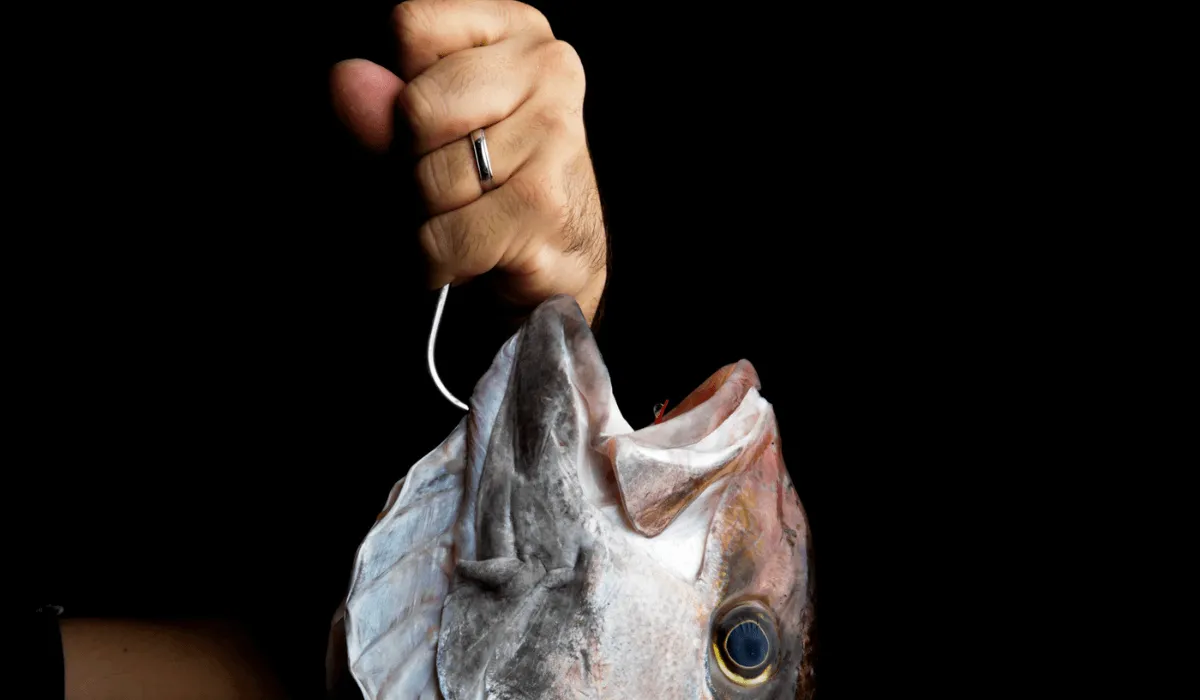 A fresh fish held by hook against a dark backdrop