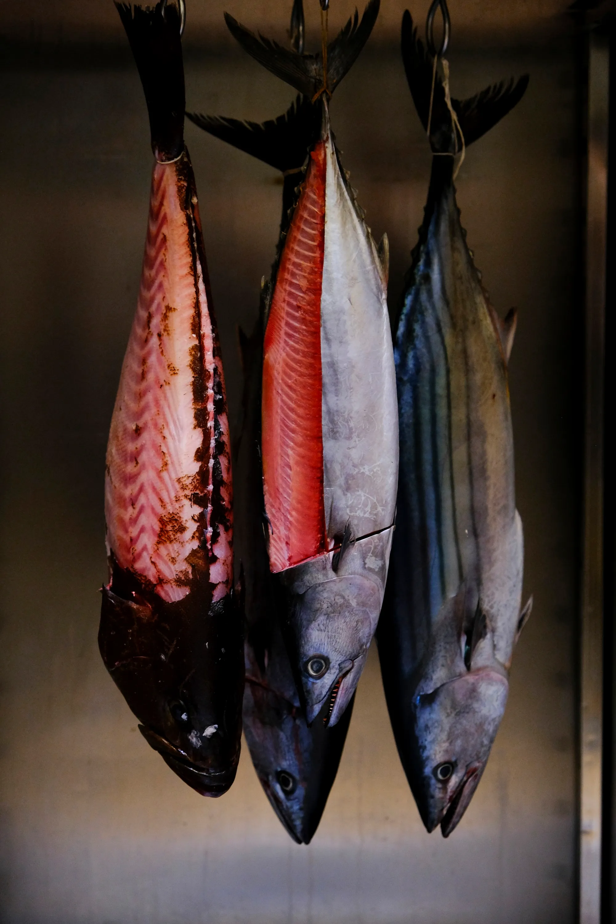 Whole tuna hanging at the fish display